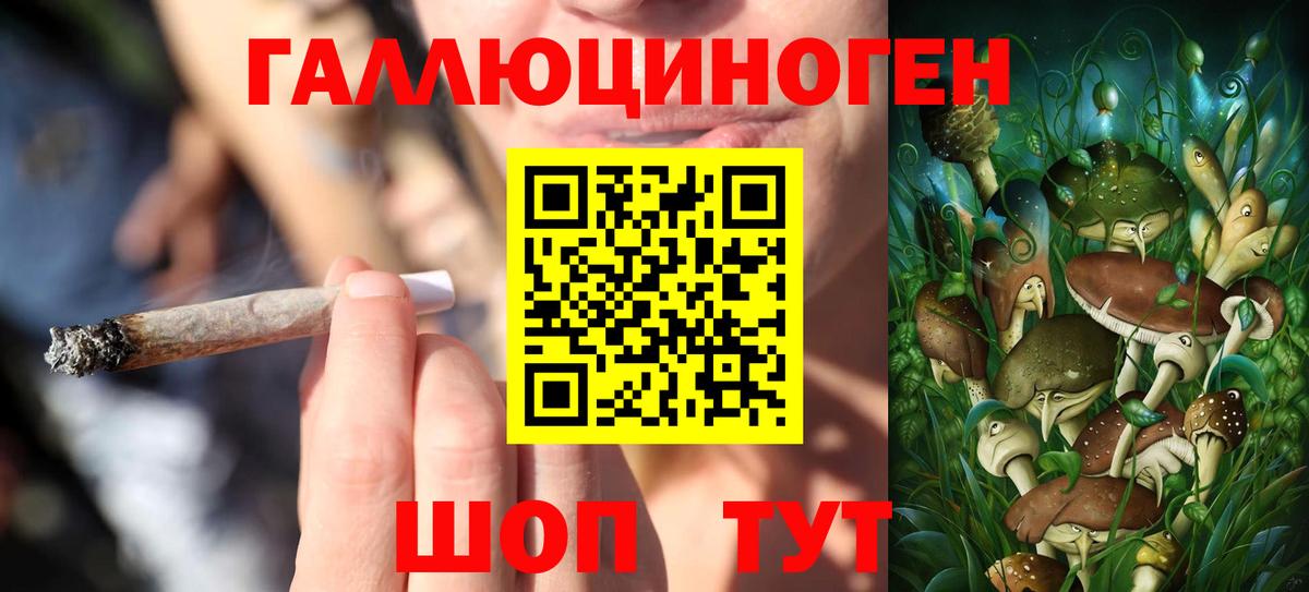 Славянск-на-Кубани  Псилоцибиновые грибы Cubensis  Галлюциногенные грибы мухоморы  Вход с VPN 